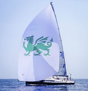 spinnaker asimmetrico 1