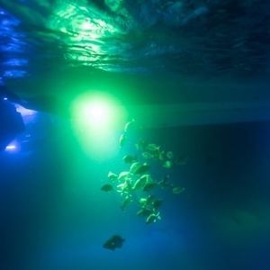 illuminazione subacquea per barca 1