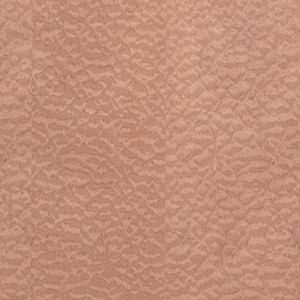 pannello di placcatura 1