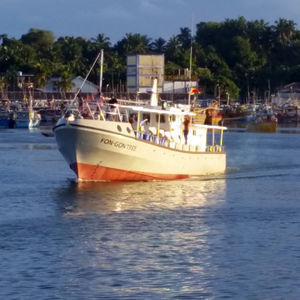 barca professionale barca da pesca professionale 1