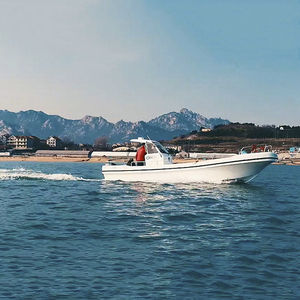 barca professionale barca da pesca professionale