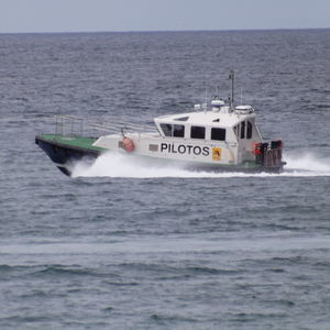 barca professionale pilotina