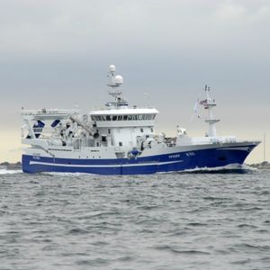 nave da pesca professionale peschereccio a strascico