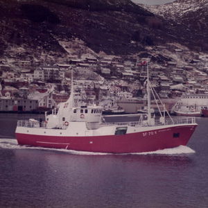 nave da pesca professionale palamito