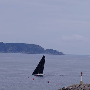 barca a vela da regata