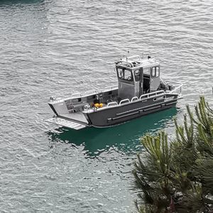 barca professionale mezzo da sbarco 1