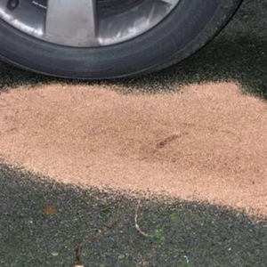 prodotto chimico anti-inquinamento di idrocarburi