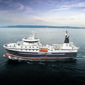 nave da pesca peschereccio a strascico