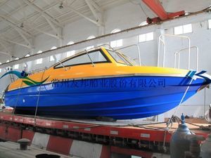 runabout fuoribordo