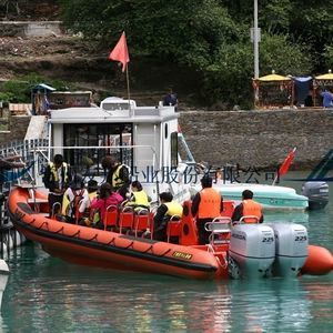 barca professionale battello turistico