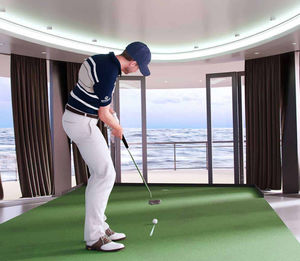 stabilizzatore gyroscopic