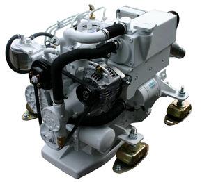 motore entrobordo 1