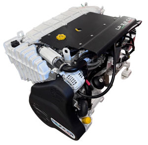 motore entrobordo 1