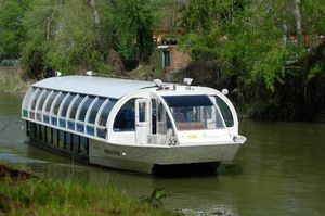barca professionale battello turistico 1