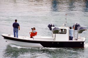 barca ausiliare per pesca professionale