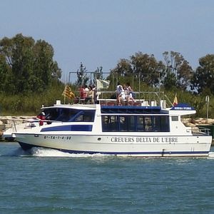 barca professionale battello turistico 1