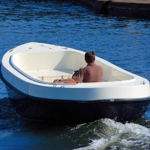 lancia entrobordo / con console centrale / tradizionale / max. 6 persone