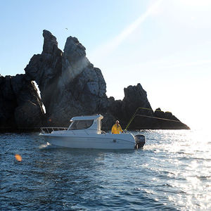 cabin-cruiser fuoribordo / con cabina di pilotaggio / da pesca / max. 8 persone