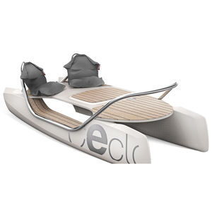 barca professionale barca per base turistica sportiva / catamarano / elettrica