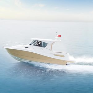 cabin-cruiser entrobordo / hard-top / max. 7 persone / con 4 cuccette