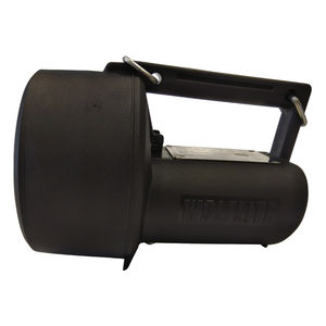 lampada torcia 1