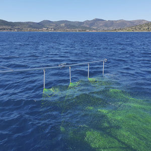 ugello polverizzatori di navi