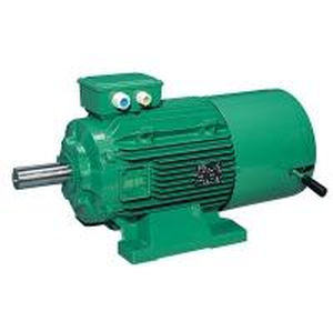motore entrobordo 1