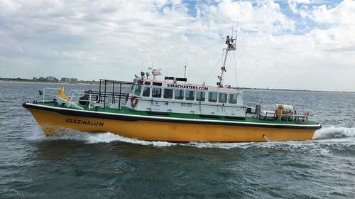 Barca professionale barca per trasporto equipaggio - ZEEZWALUW - SIMA SHIPSALES BV - pilotina / entrobordo