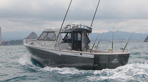 Barca professionale barca da pesca professionale - White Pointer Boats Ltd - entrobordo