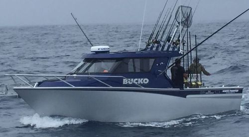 Barca professionale barca da pesca professionale - 870  - White Pointer Boats Ltd - entrobordo