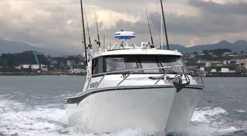 Barca professionale barca da pesca professionale - 970  - White Pointer Boats Ltd - entrobordo