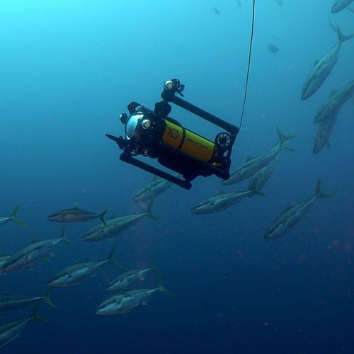 drone sottomarino per fotografia - Boxfish Research