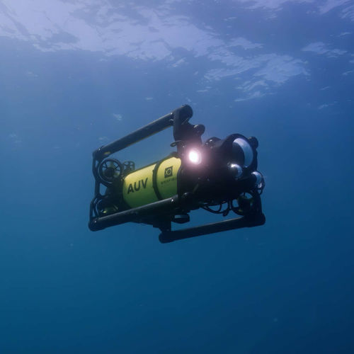 ROV di osservazione - Boxfish  - Boxfish Research