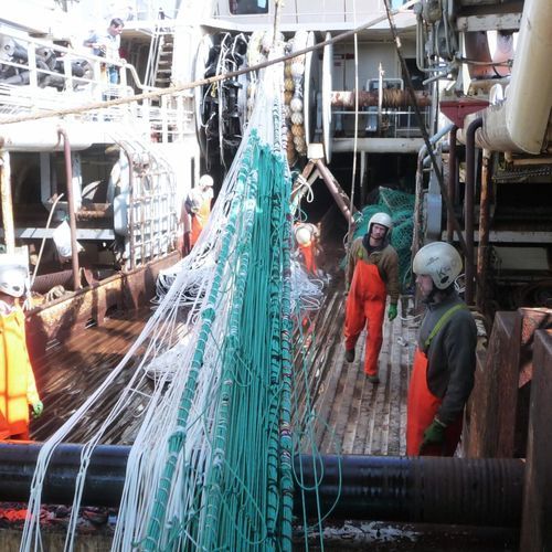Rete a strascico - Super Height - Vónin - da pesca