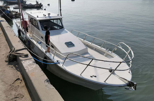 Cabinato fuoribordo - PRO 46 - PANGA FERRET - bimotore / hard-top / da pesca sportiva