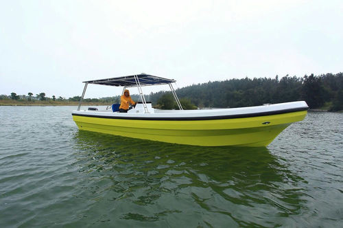 Barca professionale barca per trasporto passeggeri - PANGA FERRET - barca di supporto per immersioni / barca da pesca professionale / fuoribordo