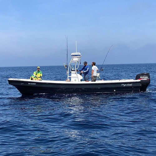 Barca professionale barca per trasporto passeggeri - PANGA FERRET - barca di supporto per immersioni / barca da pesca professionale / fuoribordo