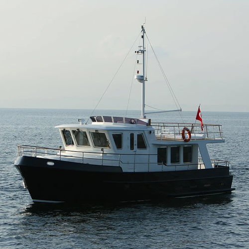 Trawler entrobordo - Eva 1 - EVADNE YACHTS - diesel / con scafo dislocante / flybridge
