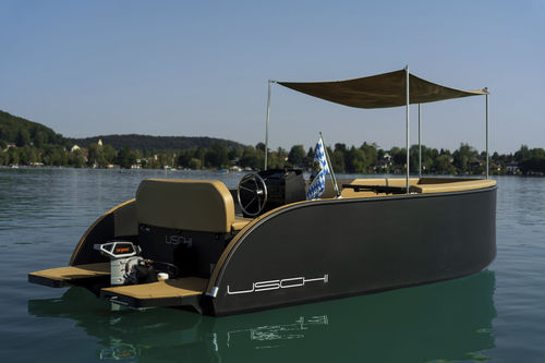 Barca open fuoribordo - ZX 20 - Futuro Boats - elettrica / a benzina / con console centrale