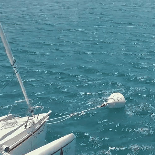 Boa di ancoraggio - OceanSpot  - NauticSpot - alto mare / ovale / bianca