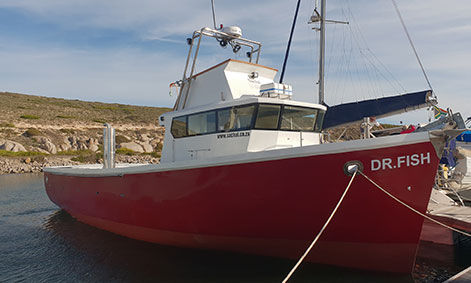 Trawler con cabina di pilotaggio - DR FISH - Sachal Shipyard
