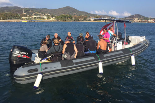 Gommone fuoribordo - 75  - BSC COLZANI srl - semirigido / con console centrale / open