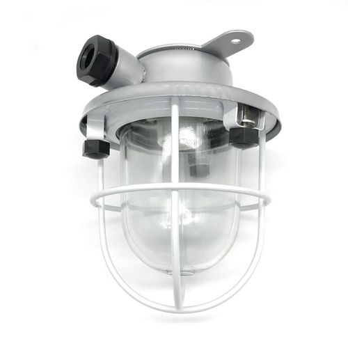 Plafoniera da esterno - CCD1-2 - Zhejiang Bozhou Marine Electric Technology Co., Ltd. - per nave / per cabina / per cockpit
