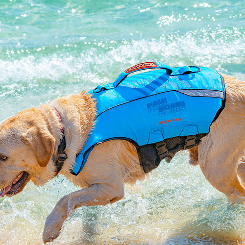 Aiuto al galleggiamento per sport nautici - PAWSOME - Aquatone - per animali domestici / in schiuma / blu
