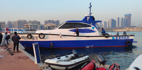 Motor-yacht da pesca - PELAGIC 1700 - Qingdao Allheart Marine Co., Ltd. - con cabina di pilotaggio