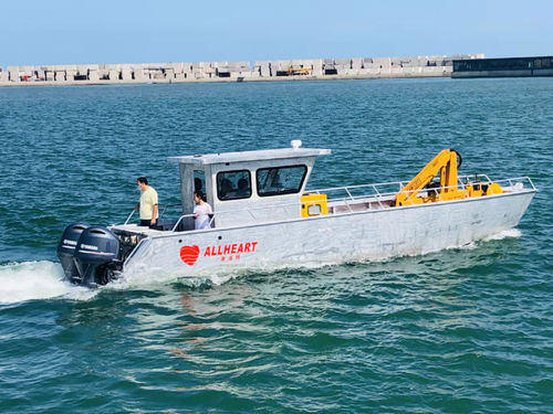 Barca professionale mezzo da sbarco - 1000 - Qingdao Allheart Marine Co., Ltd. - fuoribordo / in alluminio