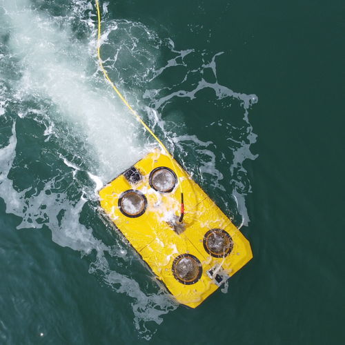 ROV subacqueo per pulizia di scafo - MEPUS-UICR - ZhiZheng Ocean Technology Company