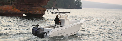 Barca open fuoribordo - 2605 CC - Striper Boats - bimotore / da pesca sportiva / max. 8 persone