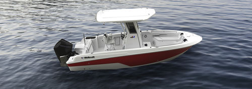 Barca open fuoribordo - 223 Fisherman - Wellcraft - con console centrale / da pesca sportiva / max. 8 persone