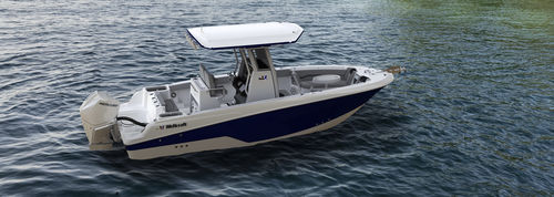Barca open fuoribordo - 243 Fisherman - Wellcraft - bimotore / con console centrale / da pesca